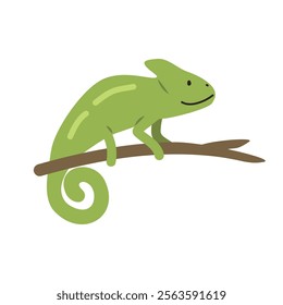 Chameleon cartoon clipart. Green chameleon vector illustration in flat style. Hand-drawn wild animal concept