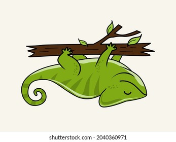 Chameleon Cartoon Isolated Animals Vector 