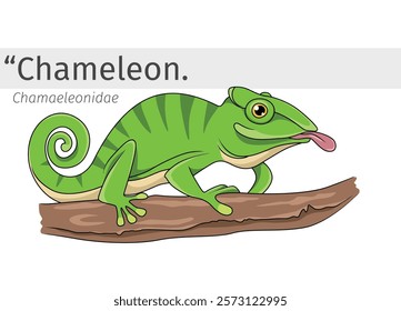 Chameleon cartoon perched on a branch illustration. wildlife animal isolated. Reptile animal cartoon collection. Chameleon Cartoon character