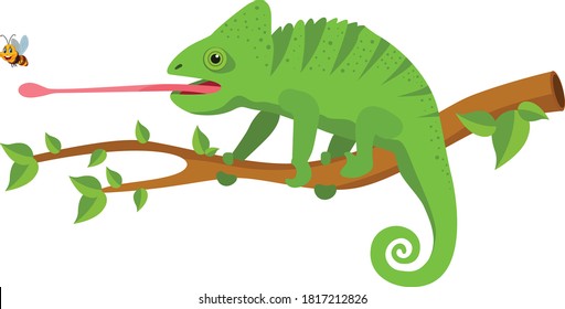 Chameleon cartoon vector art and illustration