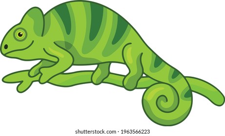 Chameleon cartoon vector art and illustration