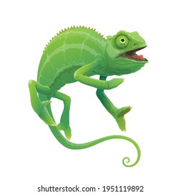 Chameleon cartoon vector green lizard animal character. Tropical jungle reptile hunting prey with open mouth, sticky tongue and prehensile tail, Madagascar chameleon zoo mascot or symbol