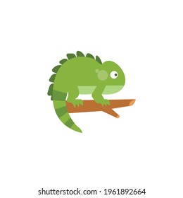 Chameleon cartoon vector on a white background