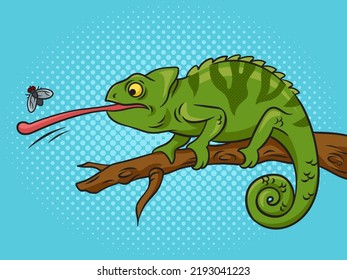 chameleon catches fly with its tongue pop art retro vector illustration. Comic book style imitation.