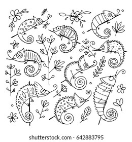 Chameleon collection, sketch for your design