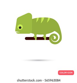 Chameleon color flat icon