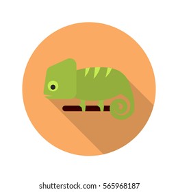 Chameleon color flat icon
