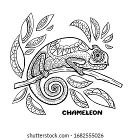 Chameleon coloring book vector illustration. Anti-stress coloring pages. Black and white lines.