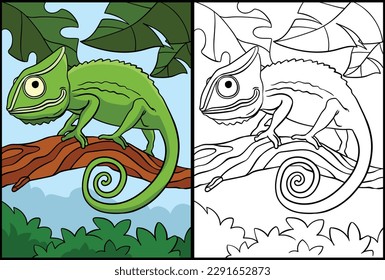 Chameleon Coloring Page Colored Illustration