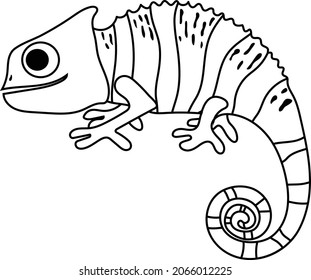 A Chameleon coloring page vector art and illustration