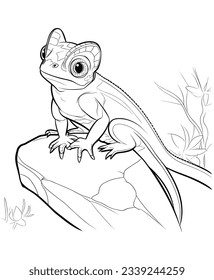 Chameleon Coloring Pages for vector