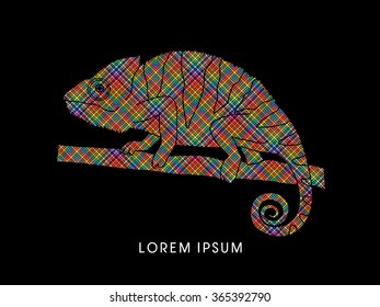 Chameleon designed using colorful line graphic vector.