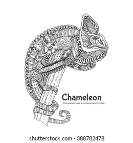 Chameleon with doodle pattern. Coloring page - zendala, design for relaxation for adults, vector illustration, isolated on a white background. Zen doodles.