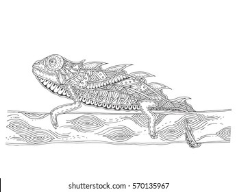 Chameleon with doodle pattern. Coloring page - zendala, design for relaxation for adults, vector illustration, isolated on a white background. Zen doodles.