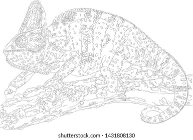 Chameleon - drawing for coloring black outline on a white background