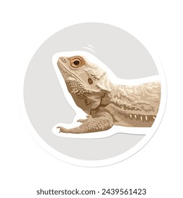 Chameleon chameleon drawing  sticker vector
