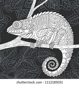 Coloring Page Chameleon Lizard Colorless Color Stock Vector (Royalty ...