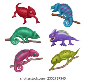 Chameleon. Exotic wild colored reptile in forest decent vector lizard realistic illustration