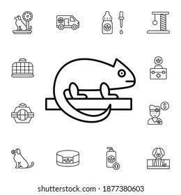 Icono de vector plano de Chameleon en petshop pack
