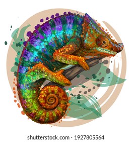 Chameleon. A graphic, multi-colored portrait of a lizard on a white background in a watercolor style. Digital vector graphics. Individual layers