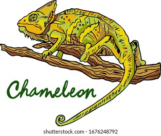 Camaleón verde en un elemento de diseño vectorial de rama