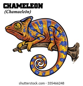 chameleon in hand drawing style