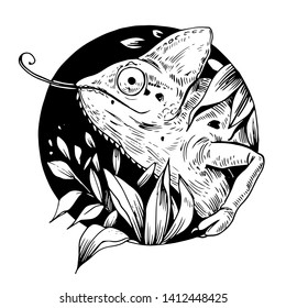 Chameleon. Hand drawn vector illustration. Great for t-shirts, tattoos, stickers