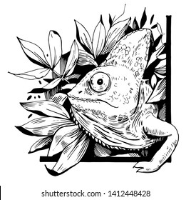 Chameleon. Ilustración vectorial dibujada a mano. Excelente para pantalones, tatuajes, pegatinas