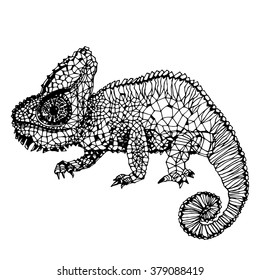 Chameleon. Hand-drawn vector illustration in doodle style. 