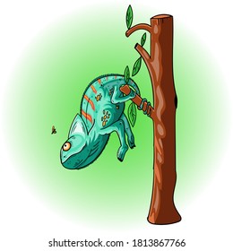 chameleon hanging from a branch with its tail
