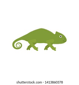 Chameleon icon in flat style, african animal vector illustration