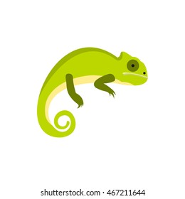 Chameleon icon in flat style on a white background