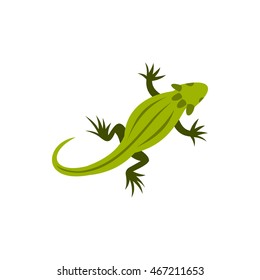Chameleon icon in flat style on a white background