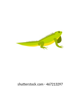 Chameleon icon in flat style on a white background