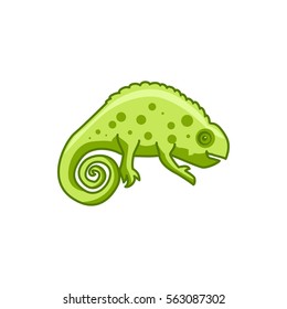 chameleon icon illustration isolated vector sign symbol