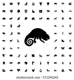 chameleon icon illustration isolated vector sign symbol