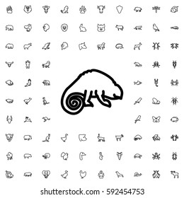 chameleon icon illustration isolated vector sign symbol. Animals icons vector set.