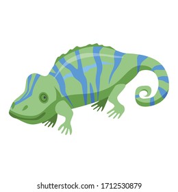 Chameleon icon. Isometric of chameleon vector icon for web design isolated on white background