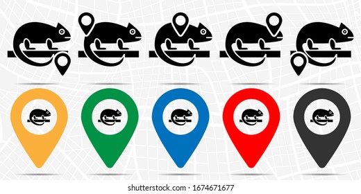 Chameleon icon in location set. Simple glyph, flat illustration element of petshop theme icons