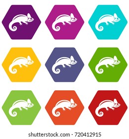 Chameleon icon set many color hexahedron isolated on white vector illustration
