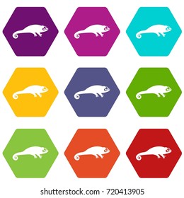 Chameleon icon set many color hexahedron isolated on white vector illustration