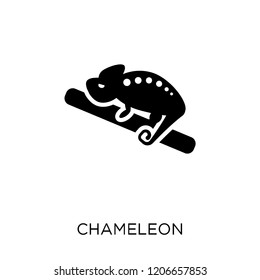 Chameleon icon. Chameleon symbol design from Animals collection. Simple element vector illustration on white background.