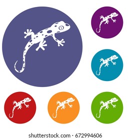 Chameleon icons set in flat circle reb, blue and green color for web