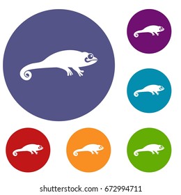 Chameleon icons set in flat circle reb, blue and green color for web