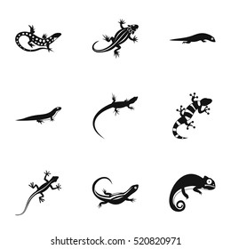 Chameleon icons set. Simple illustration of 9 chameleon vector icons for web