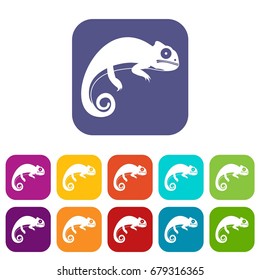 Chameleon icons set vector illustration in flat style In colors red, blue, green and other