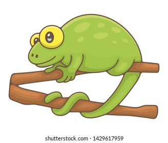 Chameleon. isolated on white background
