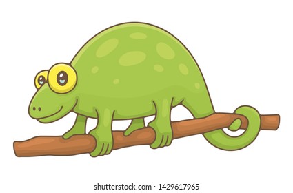 Chameleon. isolated on white background
