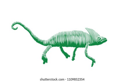 Chameleon isolated vector illustration