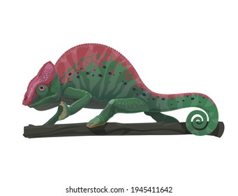 Chameleon lizard animal on tree branch vector design of cartoon reptile with green camouflage skin pattern, black and purple spots, curved tail, legs. Tropical jungle chameleon, exotic nature design